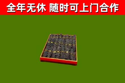 青神县回收海参